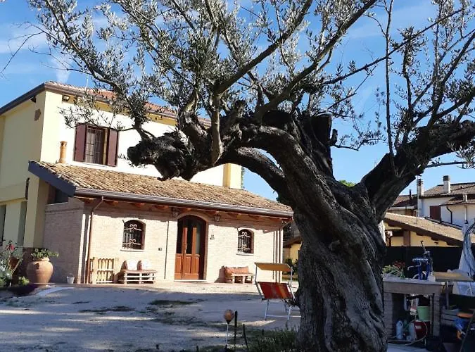 Il Focolare B&B
