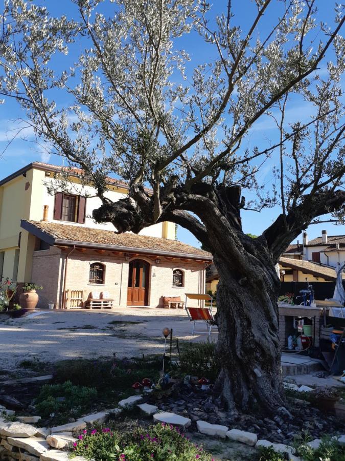 Il Focolare Bed & Breakfast Casa Ottani